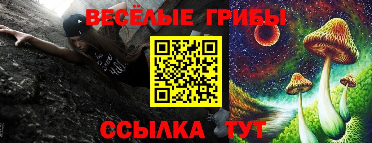 Псилоцибиновые грибы Cubensis  Галлюциногенные грибы Psilocybe  Вход с VPN  Каменск-Шахтинский 