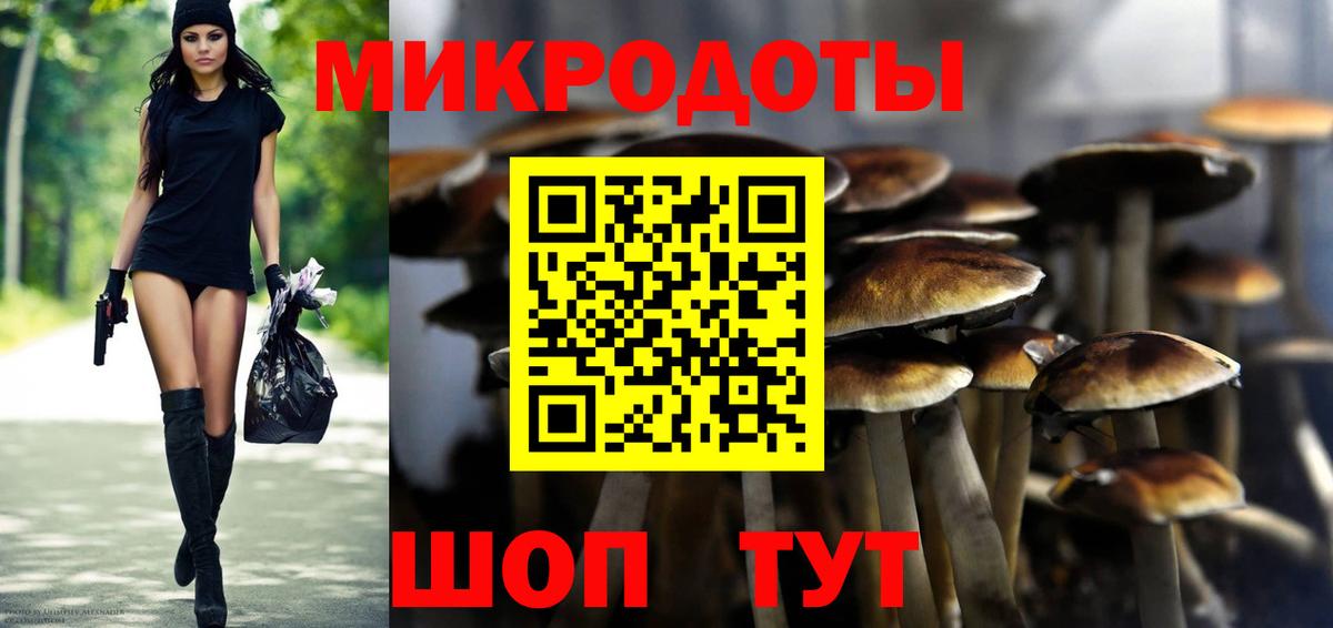 Галлюциногенные грибы Psilocybe Каменск-Шахтинский